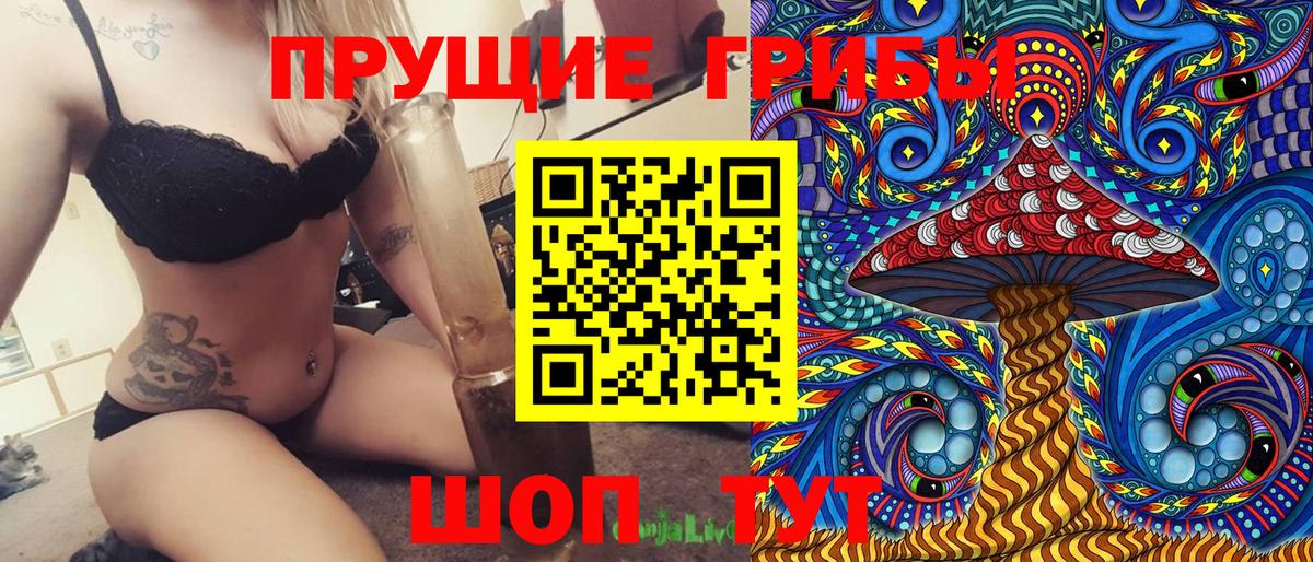 Дедовск  Галлюциногенные грибы Psilocybe  Вход с VPN 